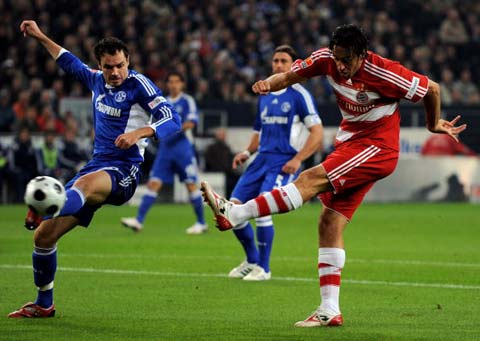 篮网队拥有 篮网队拥有